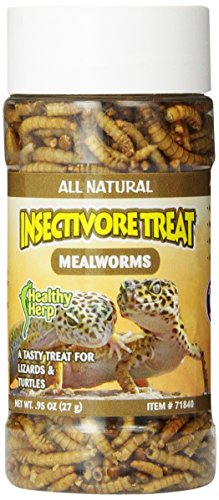 Healthy Herp Insectivore Reptile Treat Mealworms - 0.95 oz (27g) | All Natural, Nutritious Turtle Food, Bearded Dragon Tank Accessories - for Bearded Dragons, Box Turtles, Aquatic Turtles