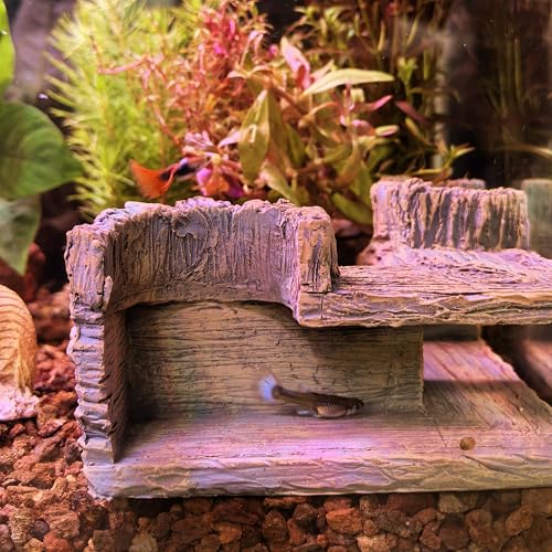 M2cbridge Aquarium Cave Betta Tunnel Driftwood Corners Shrimp House Hideout for Cichlid Breeding(Tree Trunk)
