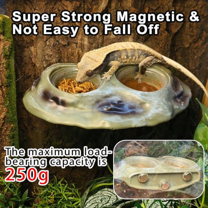 Tfwadmx Magnetic Reptile Feeder Ledge, Gecko Feeder Ledge with 4 Cups Reptile Feeding Bowl Terrarium Accessories for Geckos Lizards Chameleons Frog (White) - color: White
