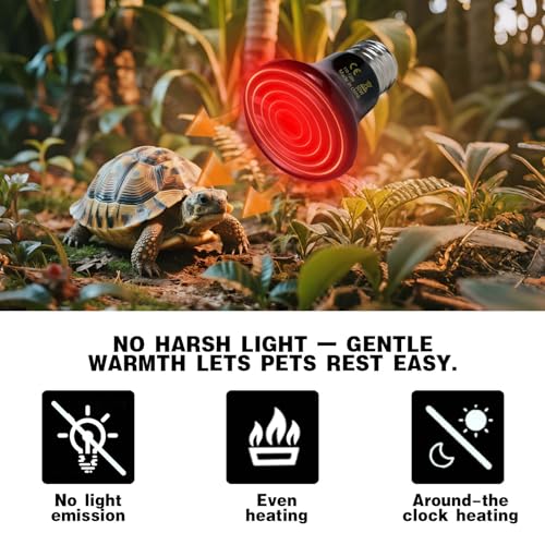 50W Reptile Heat Lamp(2-Pack) Ceramic Heat Emitter- Non-Light Emitting, 24/7 Safe Heating for Terrariums, Brooders & Incubators-Turtle Lizard Bearded Dragon Snake Small Pets E26 - size: 50 Watts
