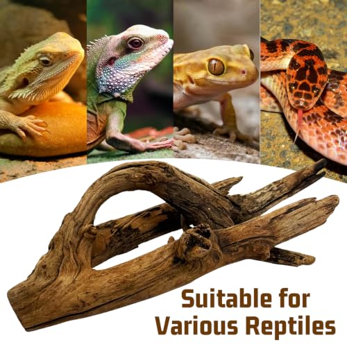 Hamiledyi Reptile Wood Branches 11.8" Length Snake Climbing Branch Lizard Habitat Natural Wood Decoration Bearded Dragon Climbing Accessories for Leapord Gecko