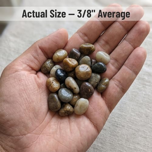 Midwest Hearth Decorative Mixed Pebbles for Plants & Terrariums | Polished Natural Stones | 3/8" Size (10-lb Bag) - size: 10-lb Bag