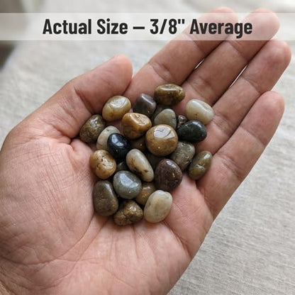 Midwest Hearth Decorative Mixed Pebbles for Plants & Terrariums | Polished Natural Stones | 3/8" Size (2-lb Bag) - size: 2-lb Bag