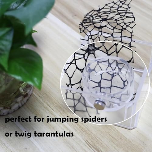 2Pcs Small Jumping Spider Feeding Dish, Magnetic Tiny Food Dishes Water Dish for Jumping Spider, Tarantula and Other Small Pets,35mm