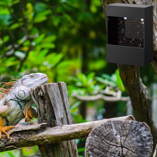 Geyoga Bearded Dragon Feeder with Suction Cups and 2 Tweezers Chameleon Bug Bowl Bug Feeder for Bearded Dragon Acrylic Reptile Feeding Box Tank and Aquarium Accessories for Lizard Gecko Frog(Black) - color: Black