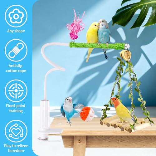 Bird Perch Stand with Swing, Desktop Bird Toy & Stand for Interacting, Interactive Playground for Sun Conure, Lovebirds, Conure, Budgie, Cockatiel - Non-Slip Adjustable Perch