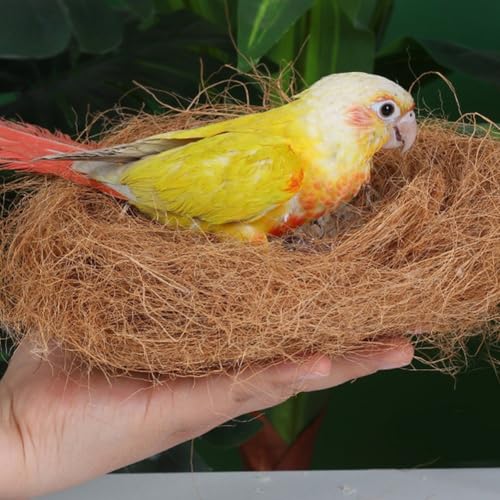 Husk Fiber for Reptile Cave Bedding, Natural Fiber for Bird Nest Coir Burrowing & Resting Vivarium Accessory for Hermit, Geckos, Hamsters