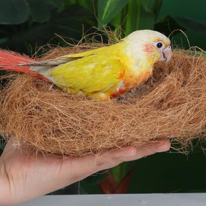 Husk Fiber for Reptile Cave Bedding, Natural Fiber for Bird Nest Coir Burrowing & Resting Vivarium Accessory for Hermit, Geckos, Hamsters