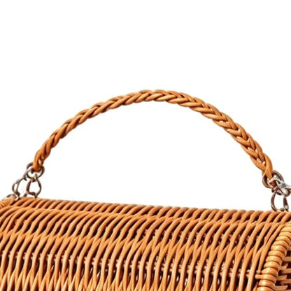 Reptile Carrier with Handle Sleeping House | All Season Washable Rattan Bird Carrier Travel Cage for Lizard Leopard Gecko Spider Tortoise Snake Bunny