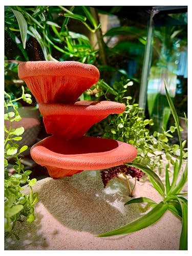 Mushroom Ledge for Terrarium – Climbing & Resting Platform with Suction Cups (Terracotta, 6''x4.5''x5.25'') - color: Terracotta