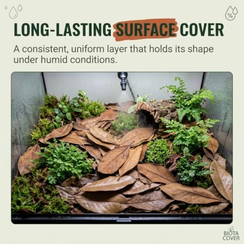21 Leaves Magnolia Leaves | Bioactive Terrarium Substrate & Supply | Ships Fast from Texas