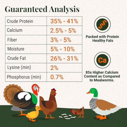 Natural Black Soldier Fly Larvae for Chickens, 85X More Calcium Than Mealworms-High Protein Grub Food Chicken Treats for Hens, Probiotic-Rich Chicken Feed, Calcium-Dense Bird Treat 5lb - size: 5 Pounds