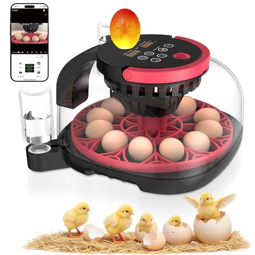 Full Automatic 12 Egg Incubator with APP Control & Video Record, Automatic Egg Turning, Temp & Humidity Control, for Beginner & Study & Small Farm, Ideal for Parrot Quail Chicken Hatching