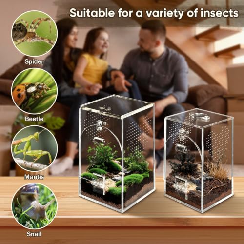 Set of 2 Jumping Spider Enclosure, No Assembly Required | 0.8~1mm Micro-Vent Acrylic Terrarium, Prevents Fruit Flies Escaping, Arboreal Habitat for Praying Mantis and Small Insects - size: 1mm