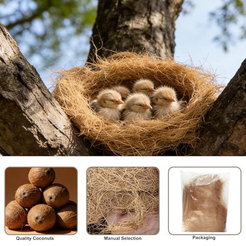 0.22 Pounds Long Coconut Husk Fiber, Mulch Silk Filling for Orchids Clean, Coconut Shell Moss Covering, Lizard Incubator Bedding Materials, Flower pots,Bird Nest