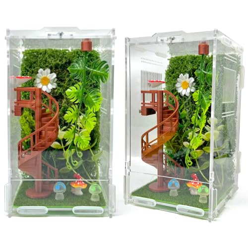 Jumping Spider Enclosure Accessories – Fun Spinning Stairs, Jumping Spider Climbing Toy with Magnetic Mount for Jumping Spider Enclosure Accessory Decoration (Brown)