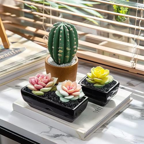 HappyFiller 0.88 LB Black Gravels Small Stones Succulent Mini Rocks | Planter Soil Cover Pebbles,Fairy Garden,Terrarium,Lucky Bamboo,Cactus Topper Dressing Decor,Aquarium Fish Tank Bottom Granule - color: Black
