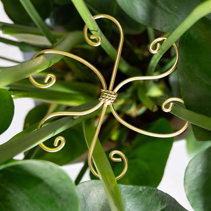 5PCS Monstera Plant Support Hooks - 6.5" Durable Metal Stabilizers | 5Pcs Gentle Leaf Holder for Monstera & Fishbone Cactus - Plant Accessory for Indoor Gardening - Perfect Gardening Gifts - size: 6.5 x 6.5 inches