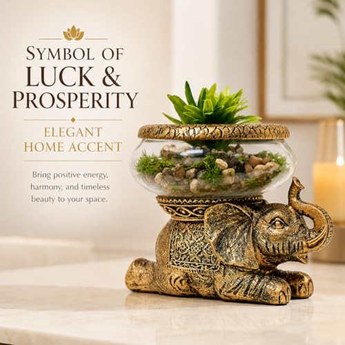 Good Luck Elephant Terrarium Bowl, Antique Gold | Elephant Figurine with Removable Glass Bowl, Succulent Planter, Candle Holder, Air Plant Display, Zen Home Décor Accent - color: Gold Antiqued Elephant Glass