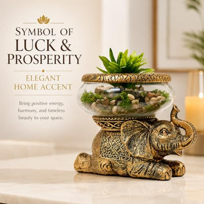 Good Luck Elephant Terrarium Bowl, Antique Gold | Elephant Figurine with Removable Glass Bowl, Succulent Planter, Candle Holder, Air Plant Display, Zen Home Décor Accent - color: Gold Antiqued Elephant Glass