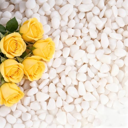 5 lbs White Gravel, 3/8 Inch Small Pebbles for Plants, Decorative Rocks for Potted Plants,Small Rocks for Plants, Vases, Cactus Potted Plants, Fish Tanks - color: White, size: 3/8 Inch 5 LB