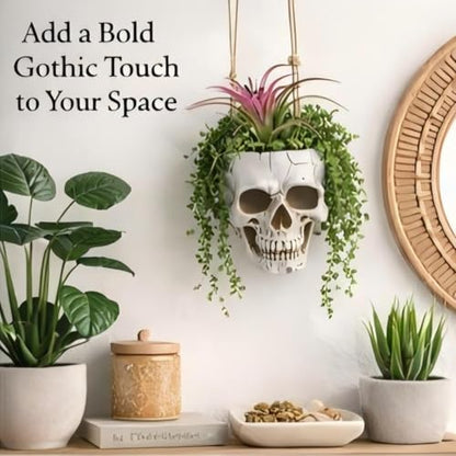 Resin Air Plant Holders,Tilandsia Container,Gothic Skeleton Planter,Halloween Plant Pot,Tillandsia Pot, Skull Table Top Display Planters for Air Plants and Other (3.9 * 5.5 * 3.2'',Black) - size: 3.9*5.5*3.2'',Black