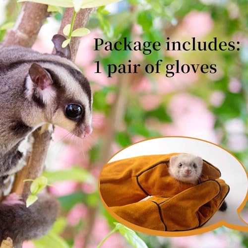 Sugar Glider Bite Proof Gloves Leather Long Animal Handling Glove for Dog Cat Scratch Bird Hedgehog and Hamster
