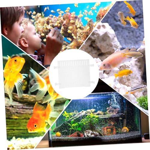 Happyyami Clear Acrylic Fish Tank Divider for Aquarium Isolation Flexible Transparent Separator Plate with Smooth Edges for Fish Shrimp Reptiles Versatile Fit for Various Tank Enhances