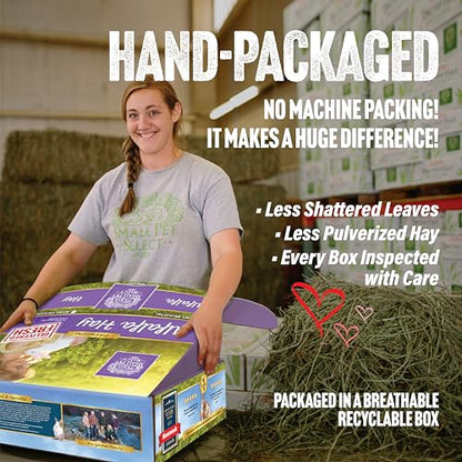 Small Pet Select Alfalfa Hay Pet Food for Young Rabbits, Guinea Pigs, Chinchillas, Tortoises and Other Small Animals, Easy to Store Box, 5 LB - size: 5 Pound (Pack of 1)