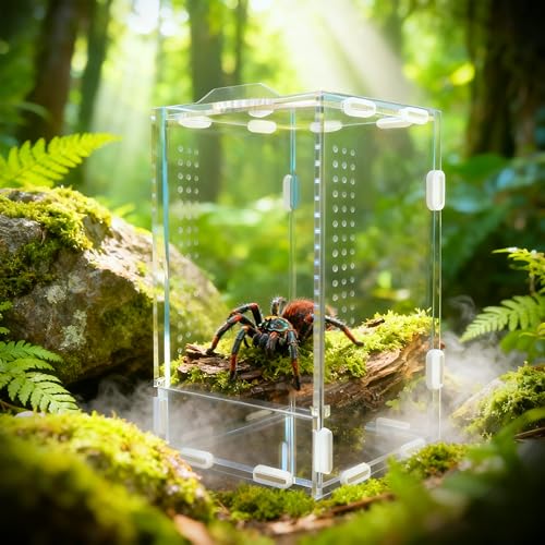 Jumping Spider Enclosure, Front-Opening Acrylic Spider Terrarium，Laser-Cut Biomimetic Ventilation System, Escape-Proof for Feeder Insects