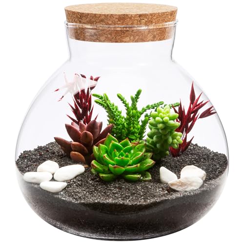 Glass Terrarium Bottle with Cork Lid: Round Borosilicate Jar for DIY Microlandscape - Clear Plant Display Container Moss Holder Tabletop Storage Canister