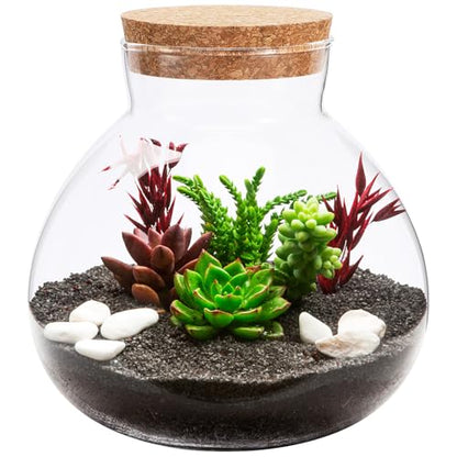 Glass Terrarium Bottle with Cork Lid: Round Borosilicate Jar for DIY Microlandscape - Clear Plant Display Container Moss Holder Tabletop Storage Canister