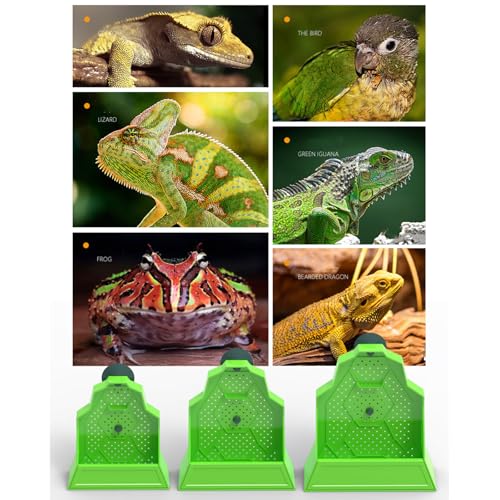Anti-Escape Feeding Bowl with Ventilation Holes and Strong Suction for Amphibians Diets Reptiles Tanks Feeding Bowl - size: L