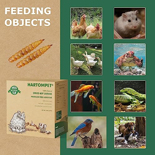 Premium Dried Black Soldier Fly Larvae for Chickens - 5LB High Calcium Supplement, Molting and Laying Support, Non-GMO & High-Protein Treats, Food for Wild Birds, Ducks, Reptile | Top Grade - size: 5 Pound (Pack of 1)