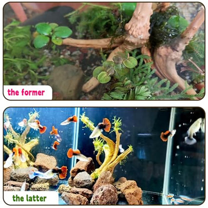 Hamiledyi 6PCS Aquarium Driftwood 6-8in Natural Spider Wood Branches Reptiles Aquarium Fish Tank Decoration Assorted - size: Spiderwood (6-8in 6PCS)