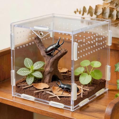 Portable Acrylic Jumping Spider Terrarium 5.9" Cube for Spider, Mantis | Ventilated design; secure magnetic lock closure. Designed for small reptiles & insects. Lightweight for travel and display - size: 5.9×5.9×5.9 Inch