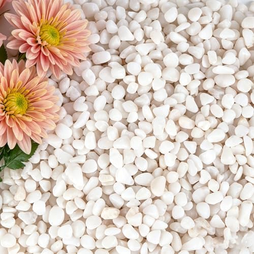 20 lbs White Gravel, 3/8 Inch Small Pebbles for Plants, Suitable for Potted Plants,Small Rocks for Plants, Cactus Potted Plants, Fish Tanks,Vases, - color: White, size: 3/8 Inch 20 LB