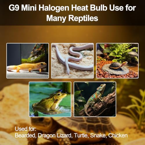 2 Pack G9 25W Mini Halogen Bulb, Day White Reptile Basking Light | Compact Long-Lasting Bulb for Reptile Terrariums,Compatibility with Most Reptile Terrarium