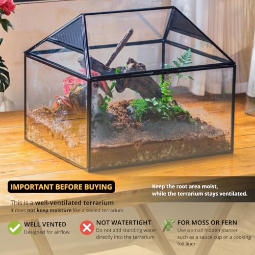 NCYP Large Geometric Glass Terrarium Box with Swing Lid for Tarantula, Snail - 14x12x12 Inches Glass Enclosure (Terrarium Only)