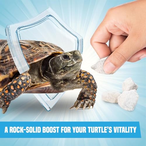 JOR Calcium Rocks for Turtles, Ideal for Shrimps, Crayfish, Hermit Crabs, and Snails, Water Conditioner for 14-Gallon Tank, Aquarium Décor, Approximately 0.5", 3-6 Pieces, 2 oz.