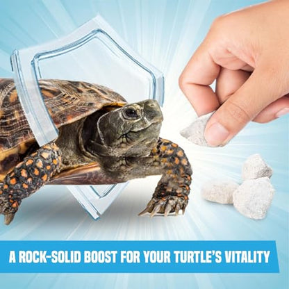 JOR Calcium Rocks for Turtles, Ideal for Shrimps, Crayfish, Hermit Crabs, and Snails, Water Conditioner for 14-Gallon Tank, Aquarium Décor, Approximately 0.5", 3-6 Pieces, 2 oz.