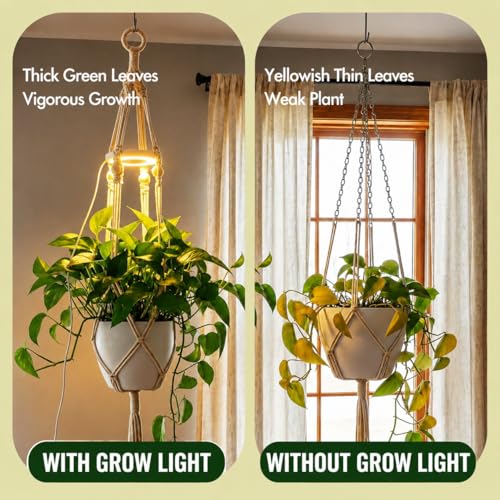 Hanging Plant Grow Lights for Indoor Plants with Timer | Wall Mounted Full Spectrum Pendant Growing Light with Macrame Plant Hanger, Ceiling LED Planta Luz for Potted Plants - size: 1 Pack