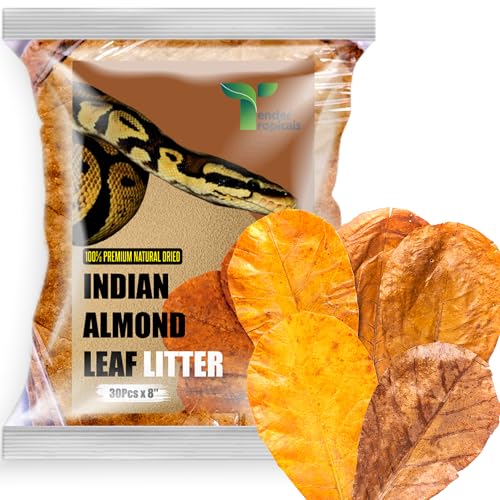 Leaf Litter for Snakes – 30 Pcs Indian Almond Catappa Leaves 8" for Reptile Tanks, Corn Snake & Ball Python, Natural Bioactive Vivarium Substrate, Terrarium Bedding & Habitat Decor