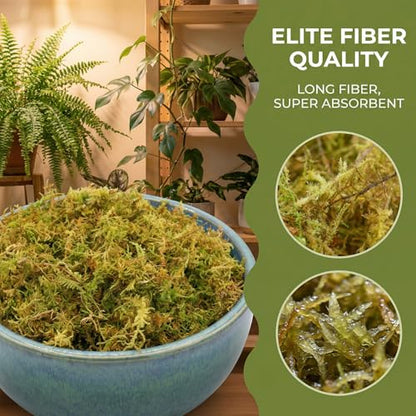 2.5 LB Sphagnum Moss for Plants, Long Fiber Orchid Moss for Carnivorous Plants, Terrariums and Indoor Potting, Compressed Sphagnum Bricks.