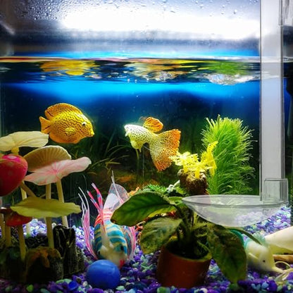 IMIKEYA Fish Tank Shrimp Feeder Tube with Acrylic Feeding Tool and Cleaning Brush, 15cm Aquarium Feeder for Betta and Small Shrimp Feeding