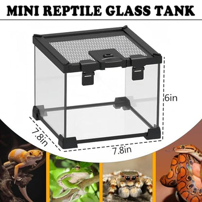 BNOSDM Reptile Tank,8" x 8" x 6" Mini Reptiles Terrarium,Full View Young Lizard Glass Tank,Small Amphibians Habitat Enclosure Cage for Tarantula,Frog,Hermit Crab,Isopods,Insects Breeding Box