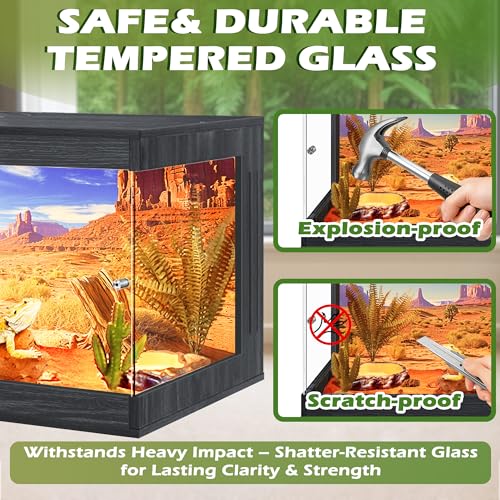 ROYXEN Reptile Enclosure,36 Gallons Reptile Tank with Wooden Top and Lockable Design,Tempered Glass Bearded Dragon Tank for Lizard Gecko Habitat (Black,32" Length) - color: Black, size: 36 Gallons,32" Length