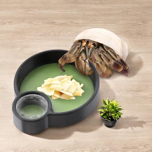 2 Pcs Hermit Crab Food Bowl Round Water Bowl Feeding Dish for Hermit Crab Snail Millipede Small Reptiles