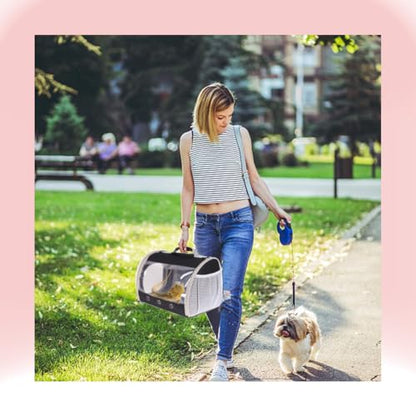 Small Animal Travel Backpack Carrier,Portable Bearded Dragon Bag for Sugar Glider,Hedgehog,Rat,Bunny,Rat,Outdoor Used (Black, Carrier L+ I Leash) - color: Black