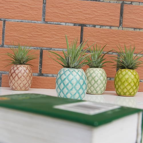 4 Pack Air Plant Holder Unique, Cute Pineapple Air Plant Stand Wall Planter, Ceramic Tillandsia Airplants Holders Hanging Wall Decor for Home Office (Pineapple-Small (1 x 2.1 in)) - size: Pineapple-Small (1 x 2.1 in)
